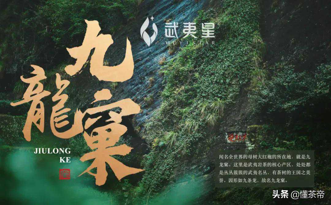 岩茶中坑、涧、窠、岩的区别，能喝的出来吗？