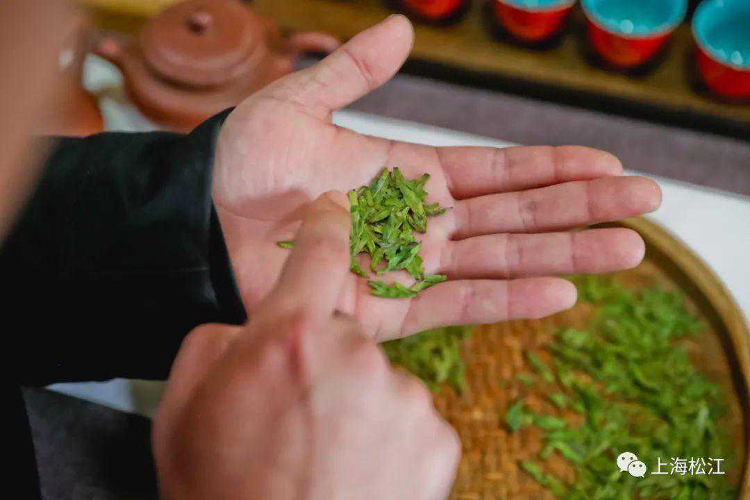 明前龙井上市!今年第一杯新茶,你喝了吗?