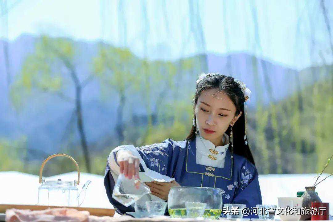 这些河北好茶,带你饮尽一整个春天