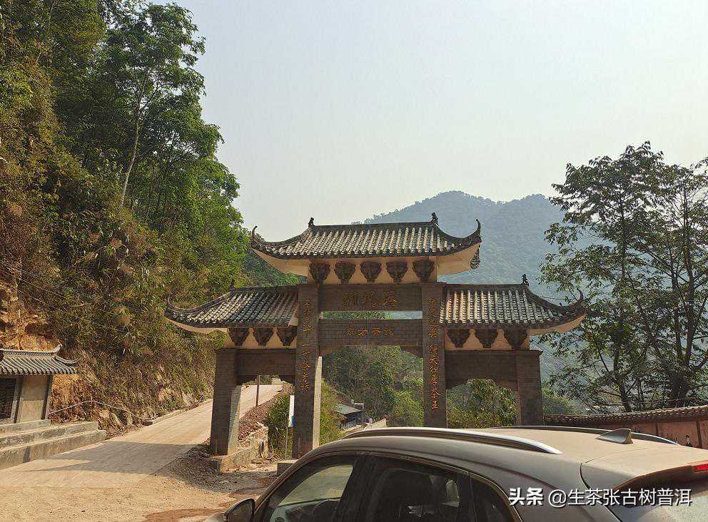 易武“七村八寨”之刮风寨，其普洱茶怎么样？有何特点？好喝吗？