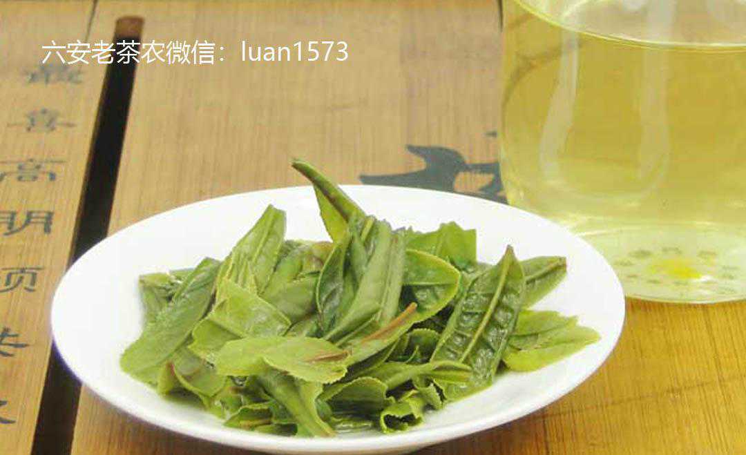 六安瓜片茶今年什么价格？2019年茶农自产六安瓜片价格介绍