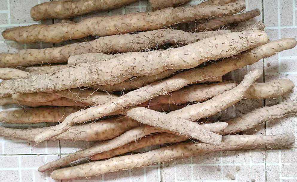 立冬时节，无论贫富，记得多吃这“补冬5宝”，顺应时节营养高