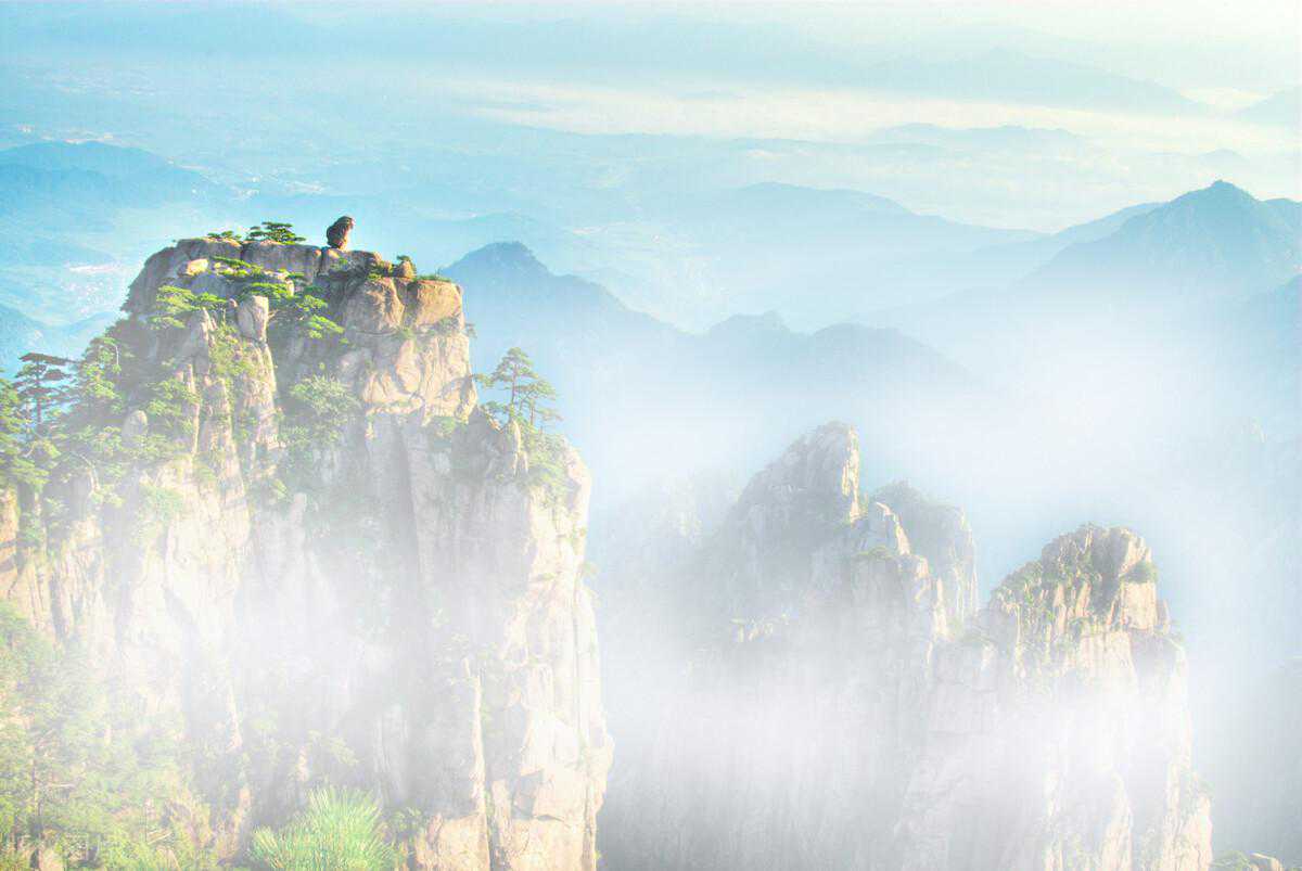 瓜片龙井再相逢，中级六安瓜片与西湖龙井对冲评测，结局能否不同