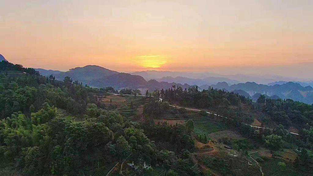 【川茶文化10人谈】40年不改初心 “茶痴”刘一平助力“川红”重现昔日辉煌