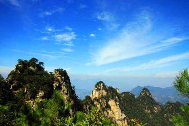 台湾有哪些名茶,五种具有代表性的茶叶,你更喜欢哪款呢