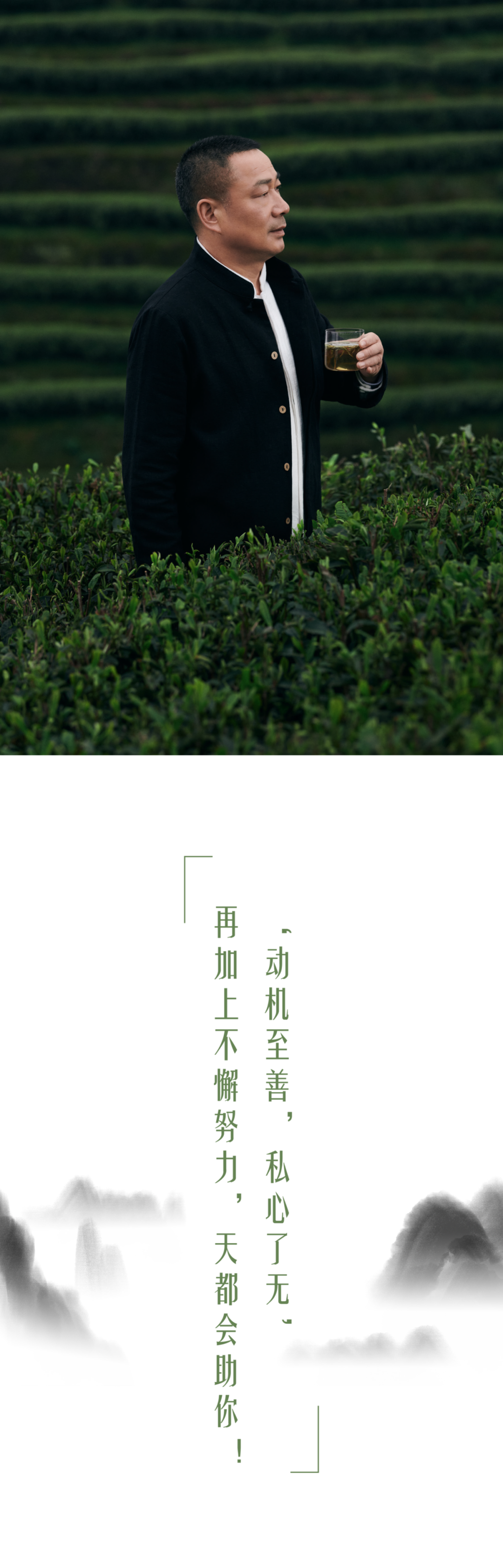 V Talk｜山海大爱，对话白茶制作技艺非遗传承人林振传