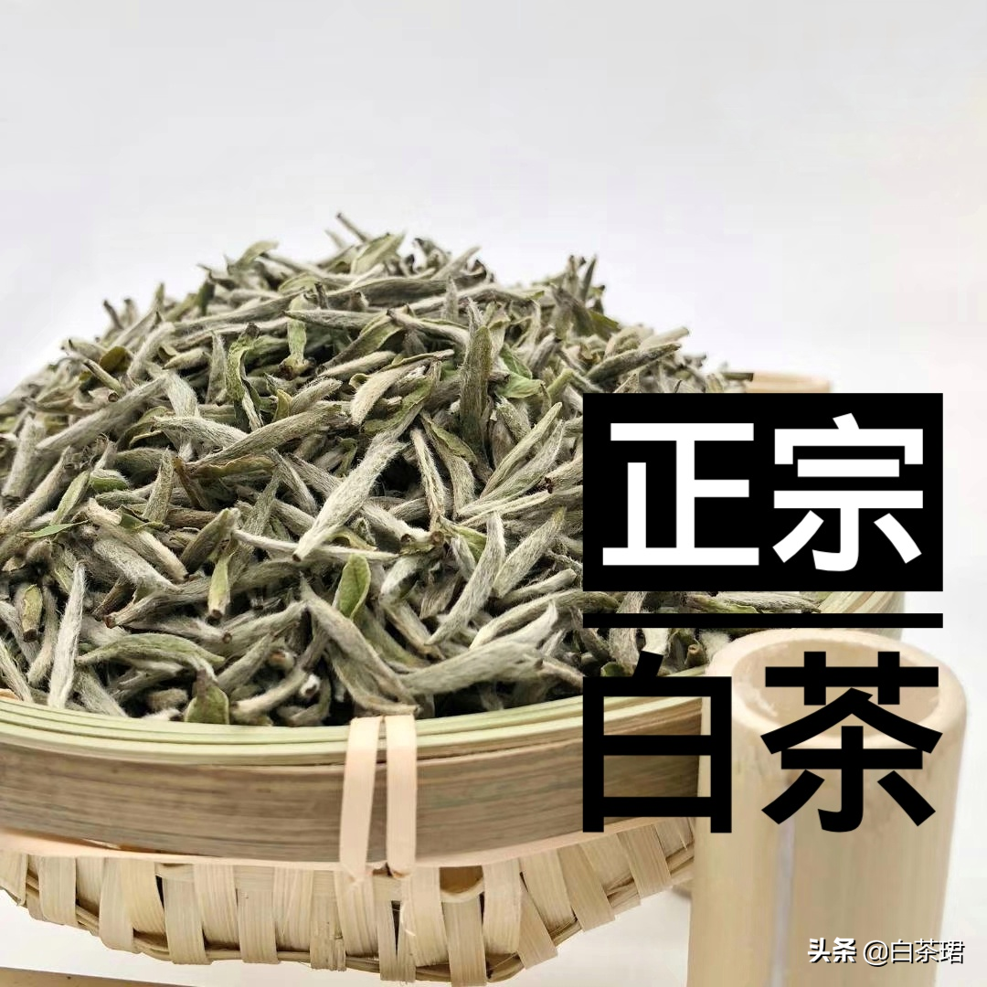 记住这几处白茶产地 好茶不只在福鼎 太姥山也不例外 