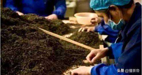 普洱“碎银子”居然有黏合剂?购买时一定要注意这3点以防上当