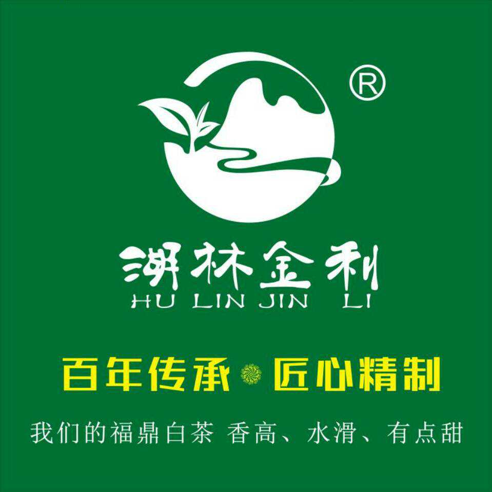 福鼎白茶成也大白，大毫。败也大白，大毫。怎样买到正宗福鼎白茶