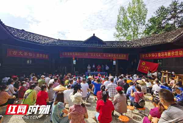 手把手教炒茶“古丈毛尖”传统手工技艺传习所开讲