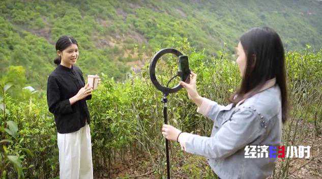 2022年全国干毛茶总产值再创新高！农业+商业+旅游业，年轻人打造乡村茶旅