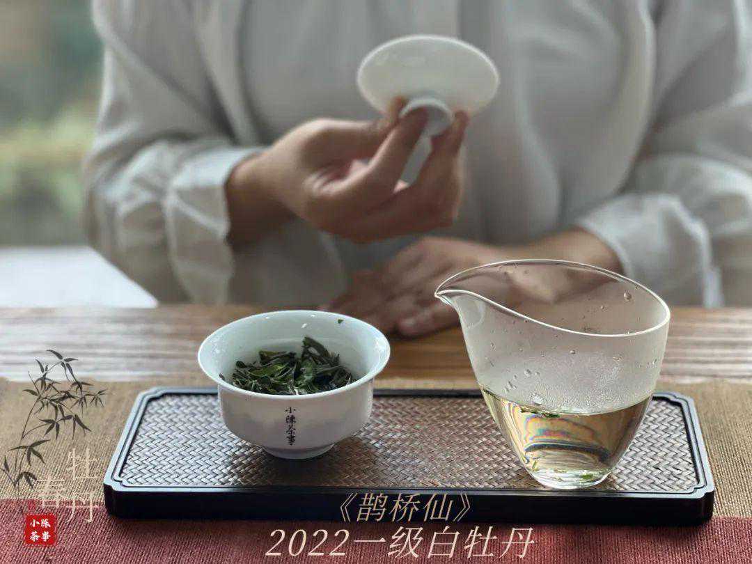 不论盖碗、公道杯、茶杯，茶具位置没“摆正”，难怪泡茶不顺手