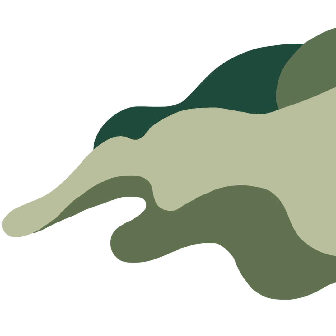 【进出口食品安全】5·21国际茶日｜海关带你读懂世界名茶及茶叶进出口知识