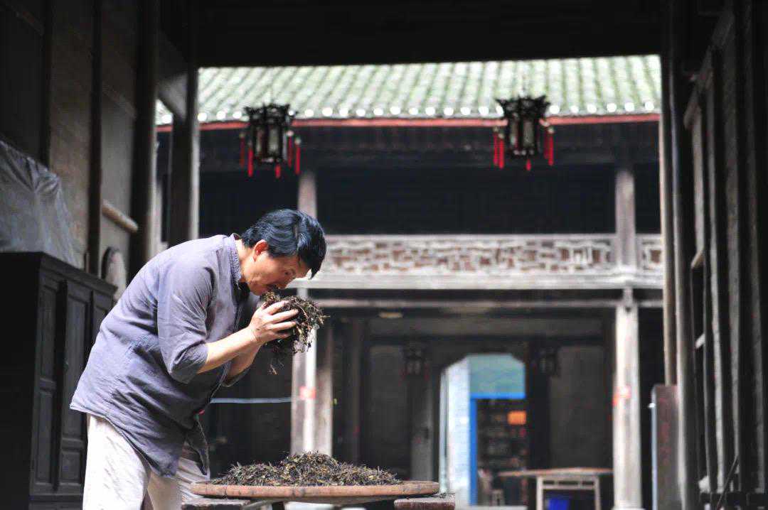 曾坐在雨中为茶而哭的“茶夫子”，让两千年黑茶重焕生机