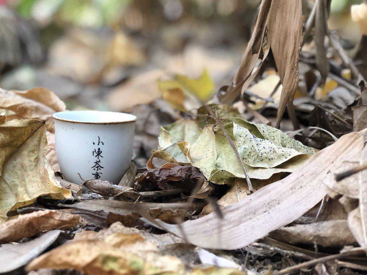 白茶的毫香究竟是什么?野草香?灰尘味?其实它是老茶友最推崇的