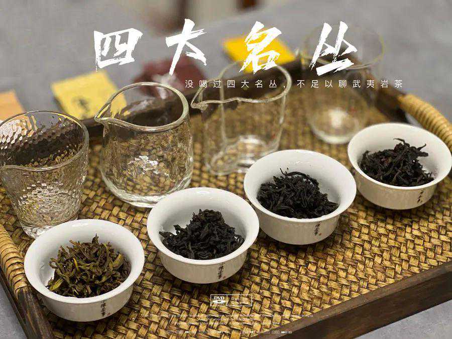 什么是岩茶的“名丛”?水仙、肉桂、大红袍,都是“名丛”吗?