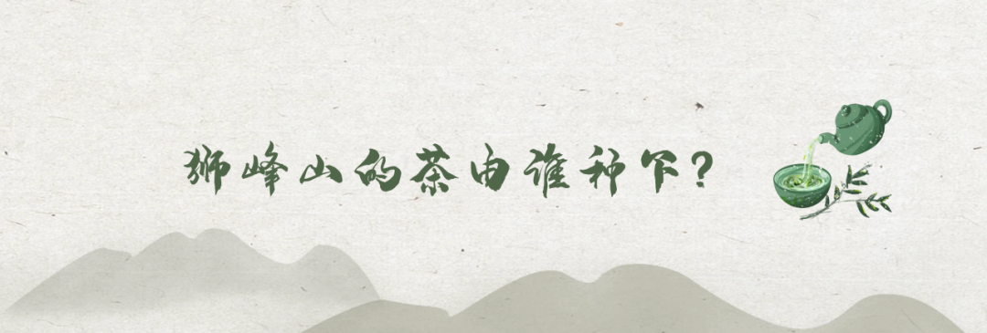 寻根龙井•问茶狮峰丨前世狮峰山的一片叶 今生茶盏中蕴千年情