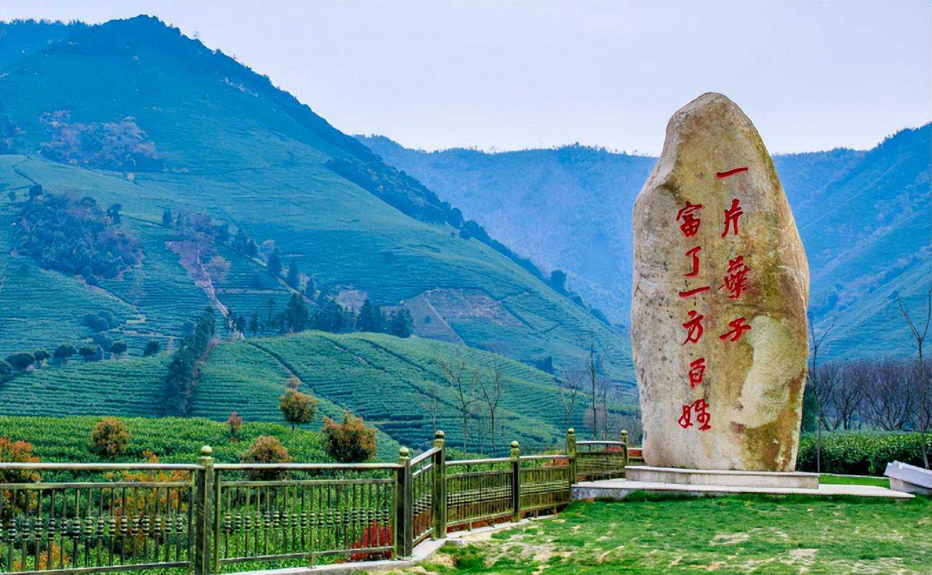 苕溪乡韵.商城中文域名赋能白茶产业,助力安吉白茶品牌提升