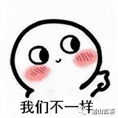 诸山古茶丨懂此杯中物，过往不足惧——懂过