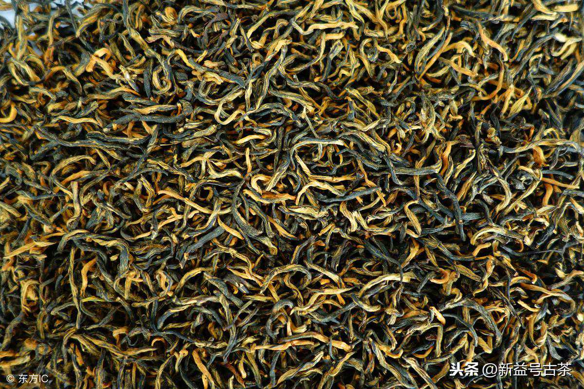 福建正山小种中的“正山”具体指的啥？这篇文字说的很清楚了