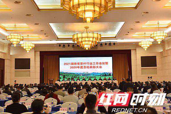 2020年湖南实现茶叶综合产值966亿元 茶叶国家级龙头企业已达6家