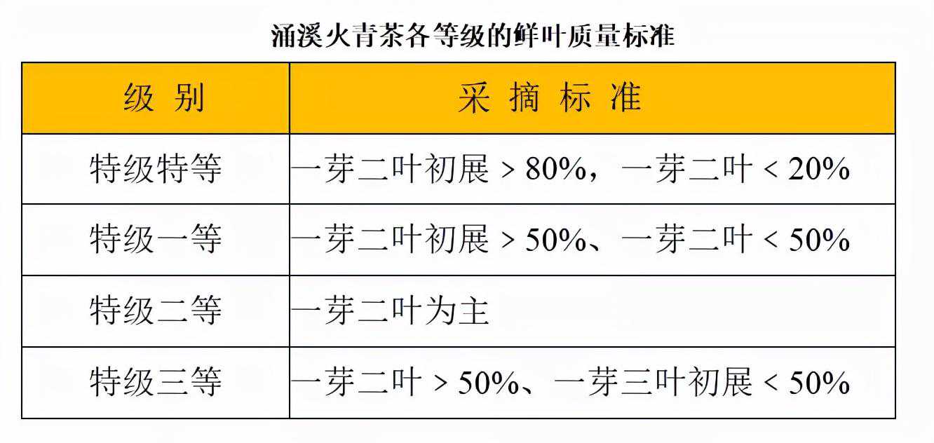 秋日上新|《中国明星制茶师》匠心之茶•“金银美茶”涌溪火青