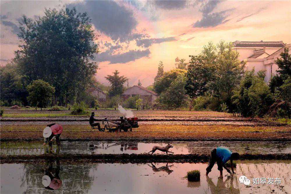 如皋的晚茶除了太好吃，其他没毛病！