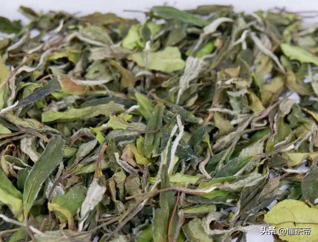 阴干VS日晒,哪种萎凋对白茶更好?