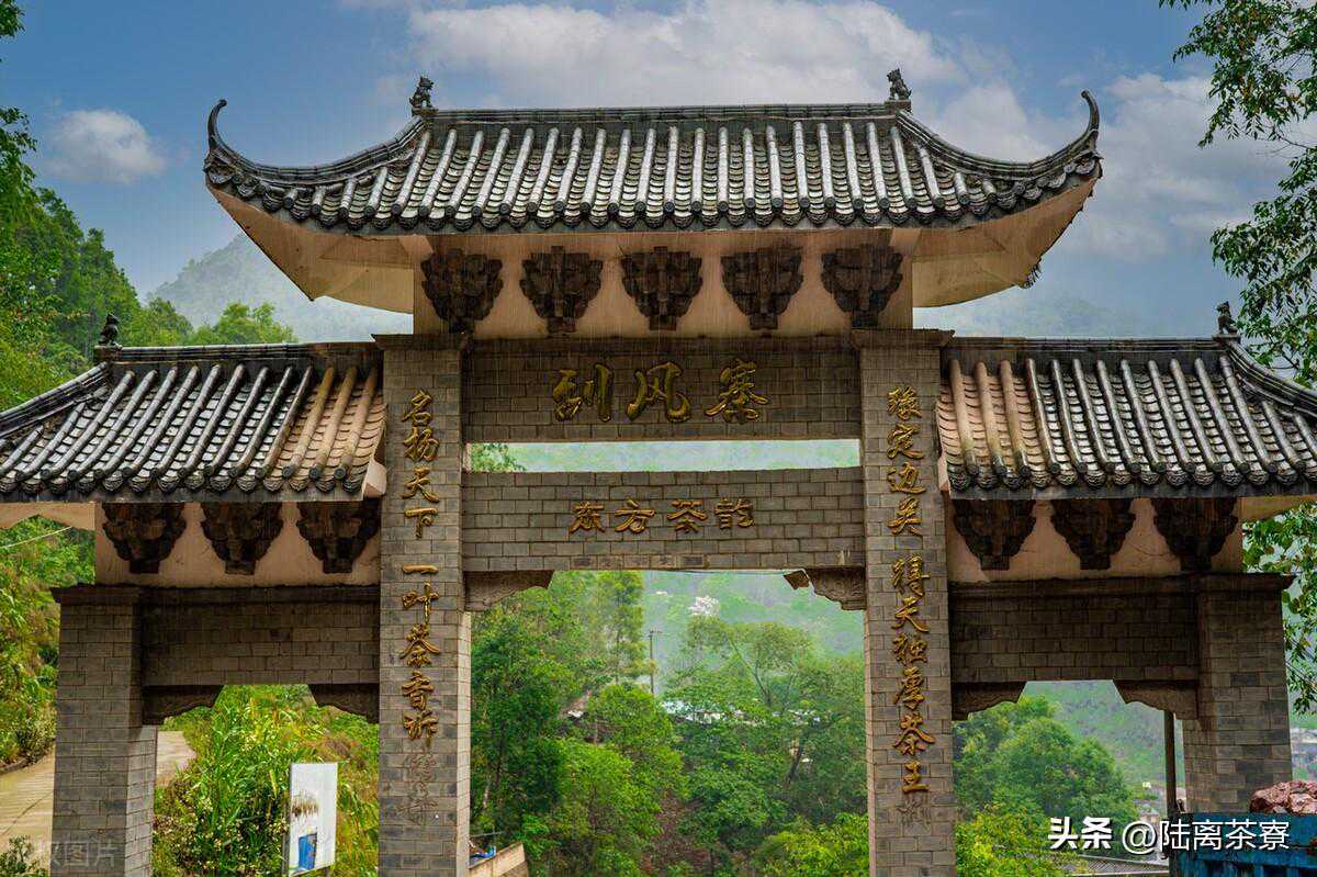 麻黑与刮风寨:易武茶的最中坚力量