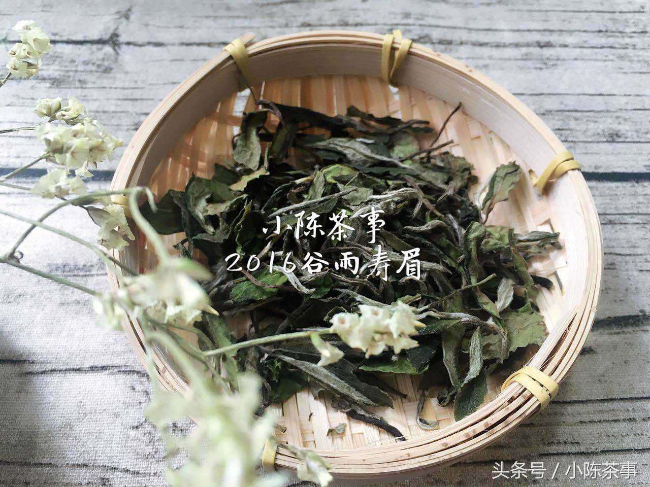 三大技能教您分辨春尾寿眉和秋季寿眉,快收藏!