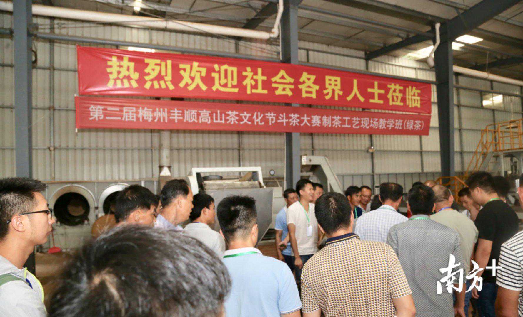 炒青绿茶加工知识有哪些？知名制茶大师手把手传授