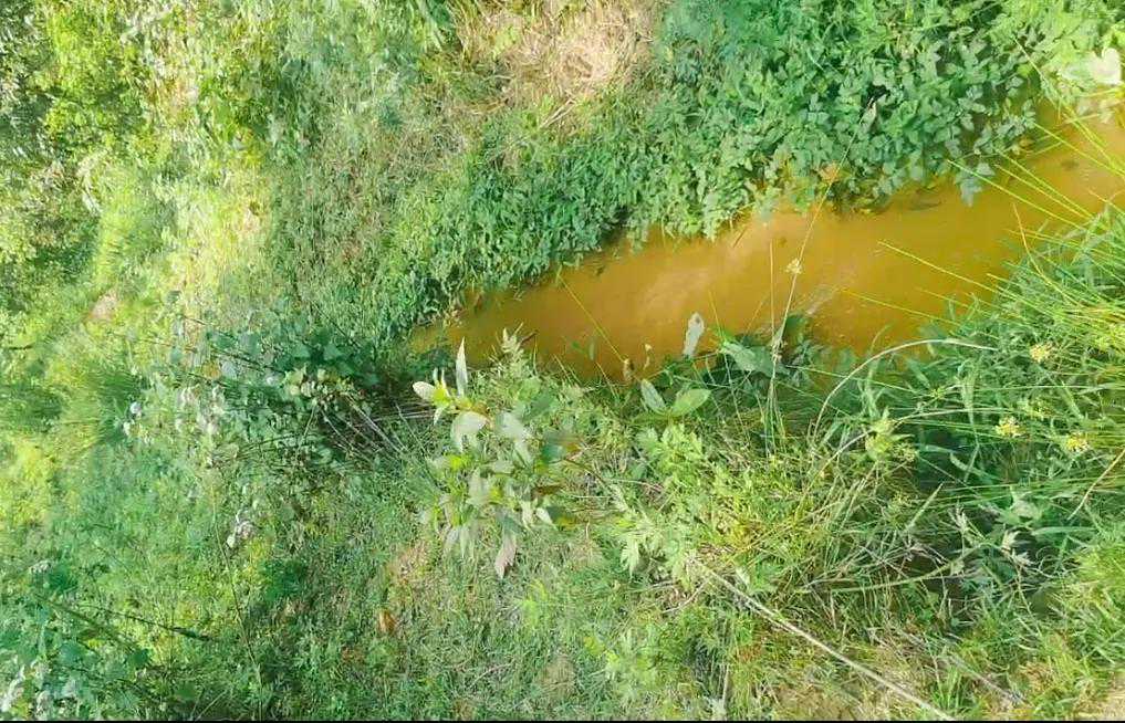 南糯山，拔玛正山为何如此脱颖而出