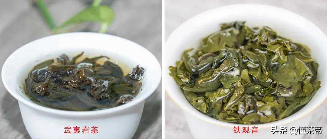 都是乌龙茶,大红袍与铁观音的茶韵有何不同?