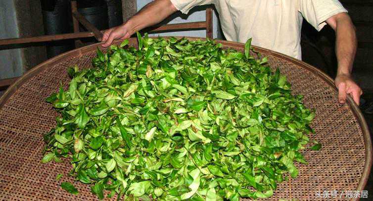 看懂做青之复杂高难｜再也不用抱怨了