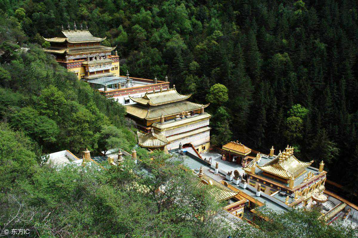 佛海中,零落着淡淡的萧疏