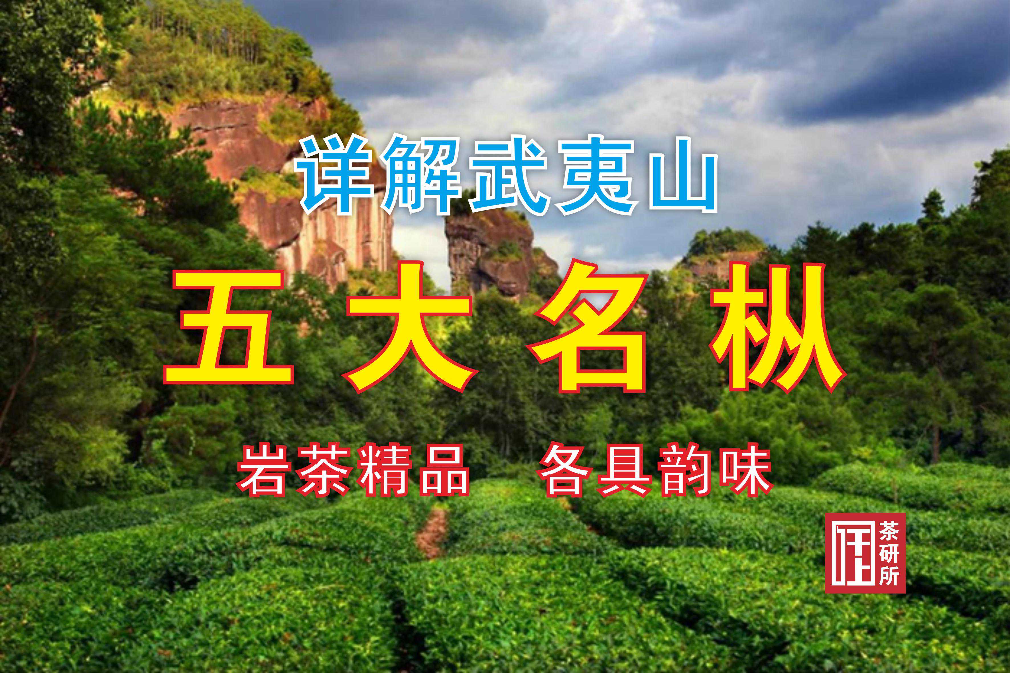 武夷山五大名枞的溯源与特性