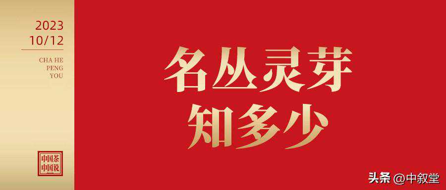 申时茶叙丨武夷岩茶，名丛灵芽知多少？