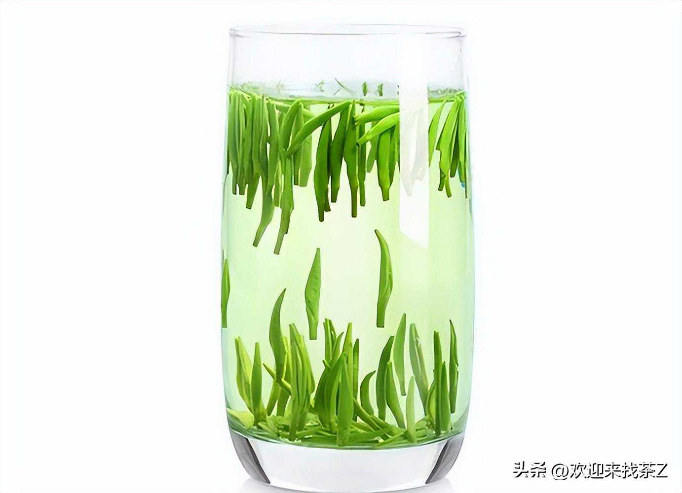 四川十大名茶有哪些?四川最好喝的茶是什么茶?