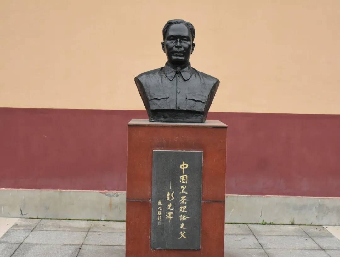 茶文化：寻找历史人物彭先泽