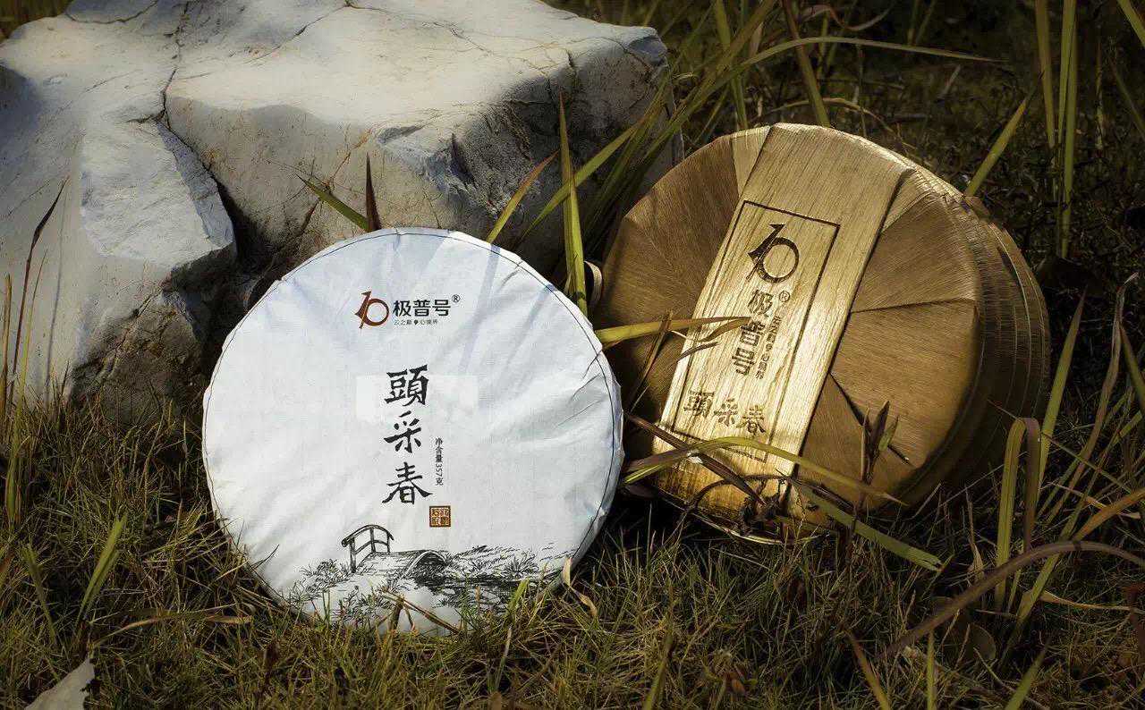 极普有你·不言不语