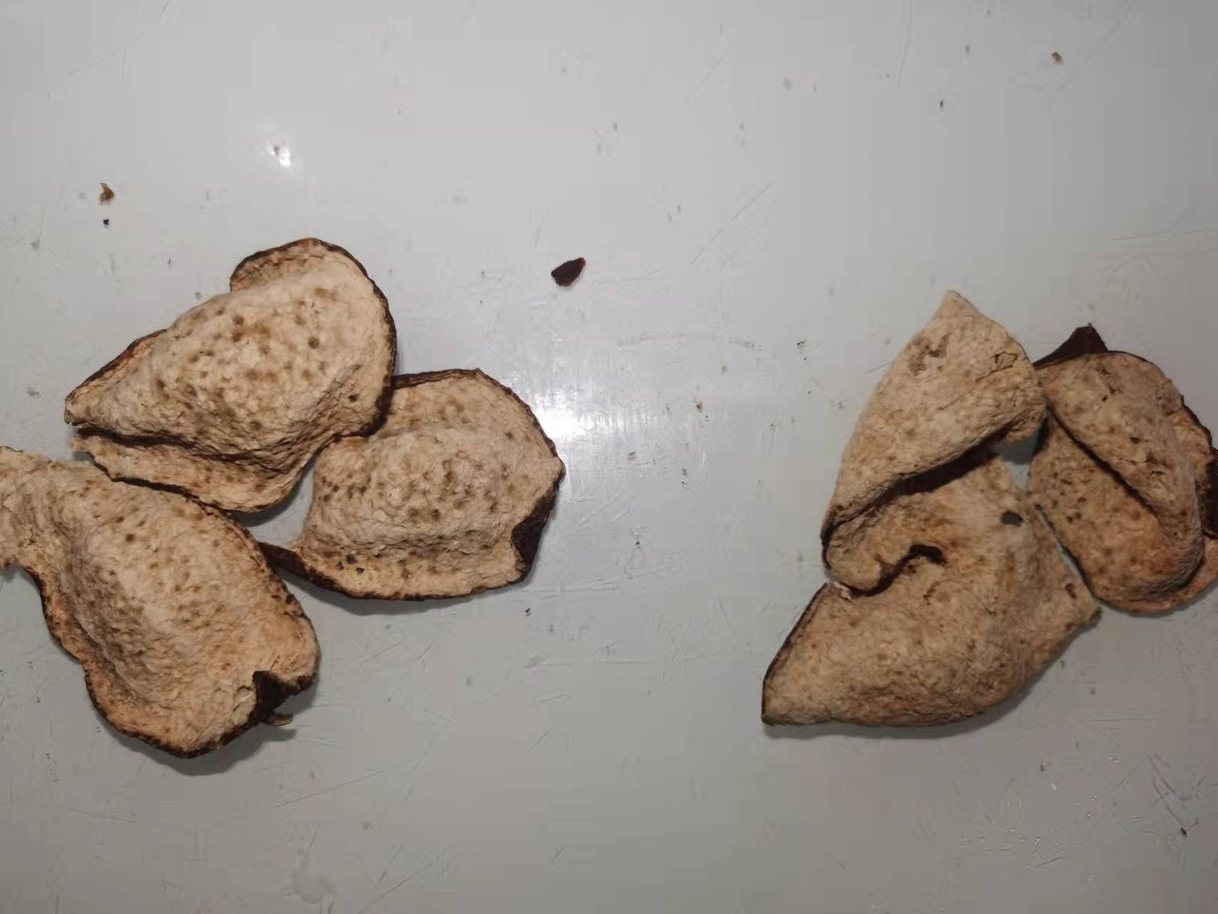 新会陈皮：“老树柑”陈皮，就是“好陈皮”吗？