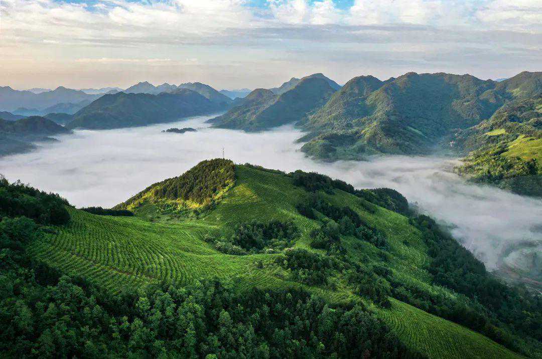 李三原:陕西茶叶几个历史问题