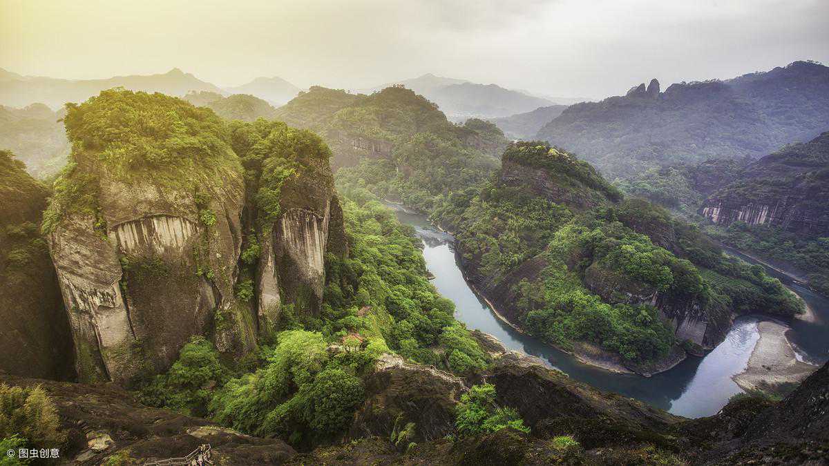 掌握了这几点,就知道什么是武夷红茶