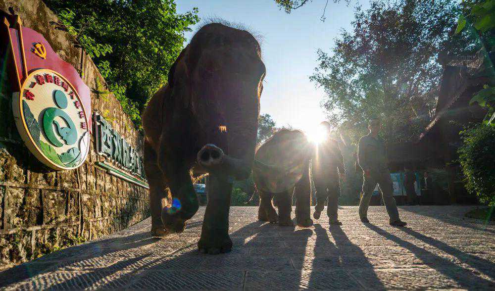 七彩云南欢迎您！