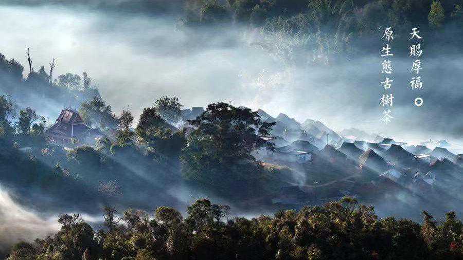 七村八寨是哪呢？