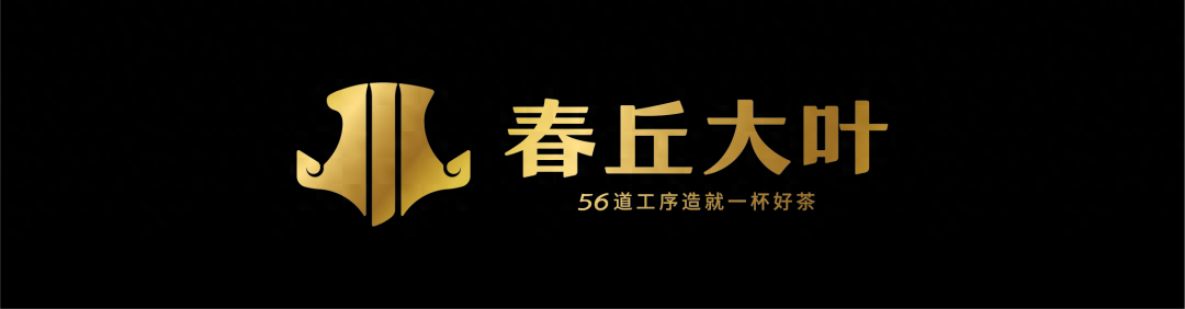 春丘大叶｜品味历史，厚韵经目