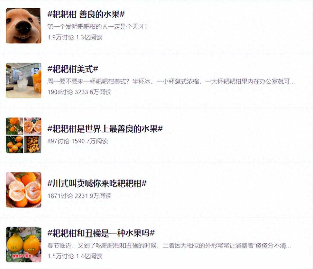 pápá柑还是bābā柑？“最善良的水果”，真的懂它吗？