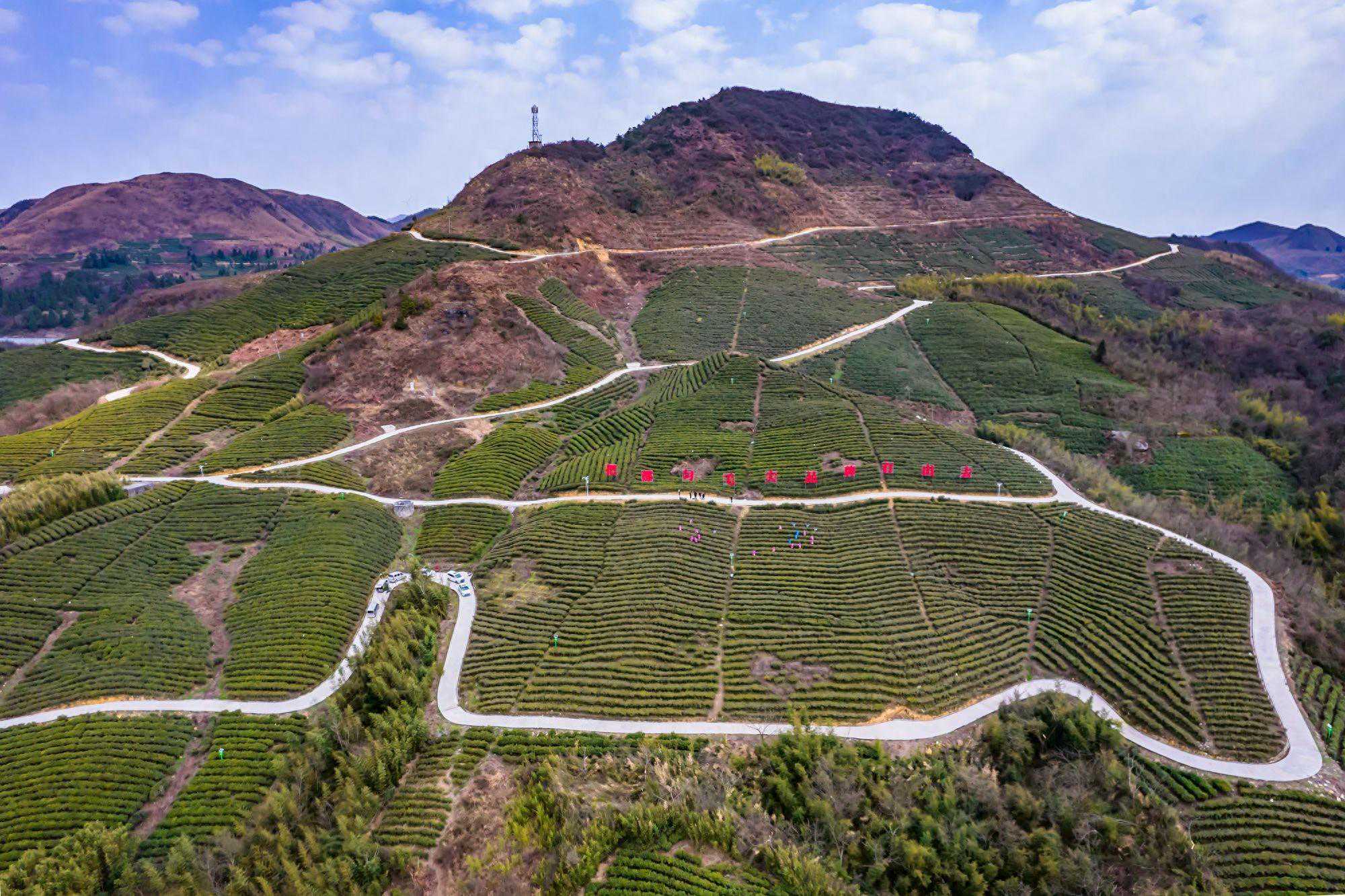 贵州都匀螺蛳壳山，都匀毛尖的主要产地，体验非遗文化的制作工艺