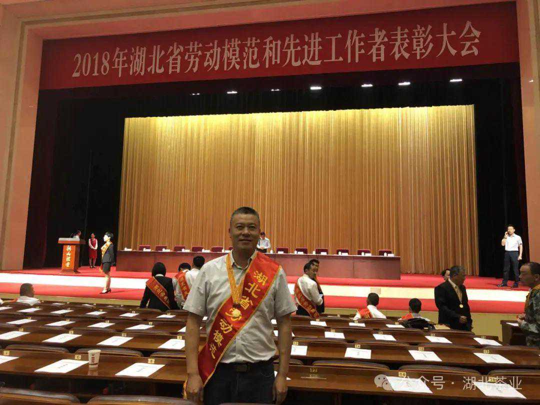 玉皇剑茶人话发展