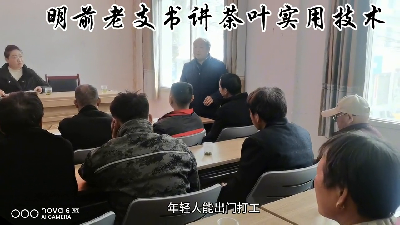 清明前老支书讲茶叶采摘管护实用技术#每天学习一点点